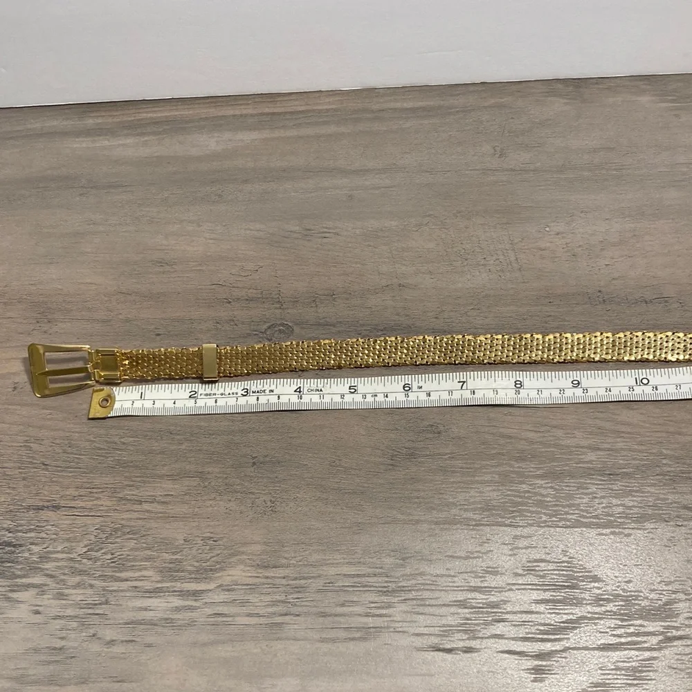 Vintage Retro Glam Serpent Scale Gold Mesh Belt